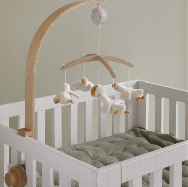 Little Goose Musikmobile