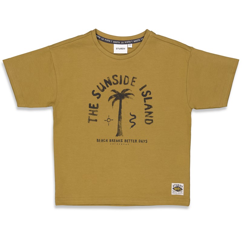 S23S2_71700388_315_1