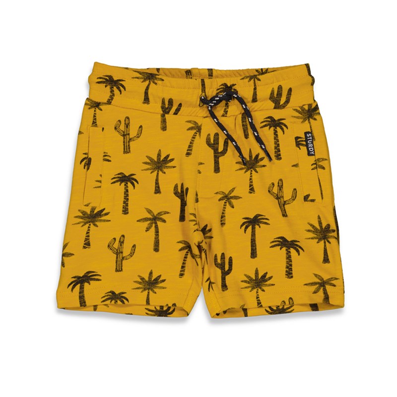 S23S2_72100126_200_1