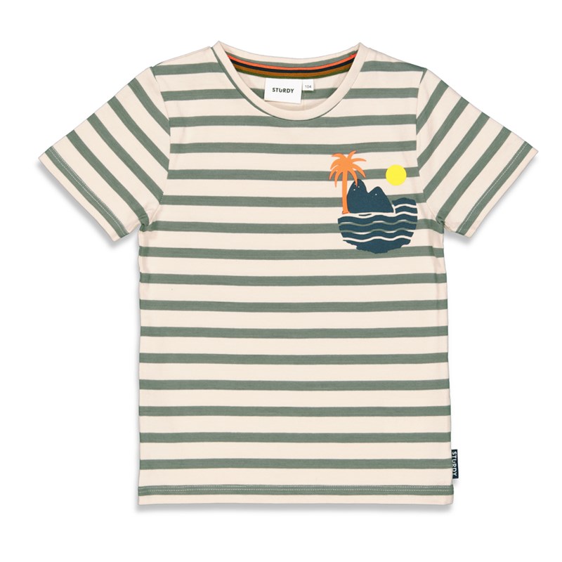 S23S3_71700404_330_1